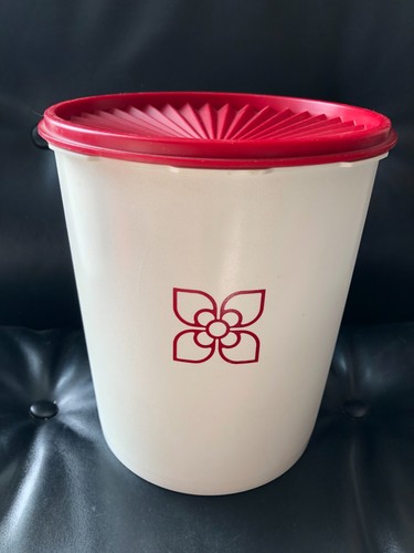 Tupperware grande boite - ⭕,