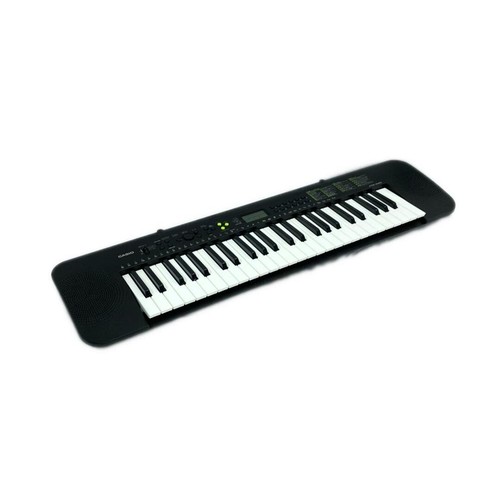 casio ctk 450