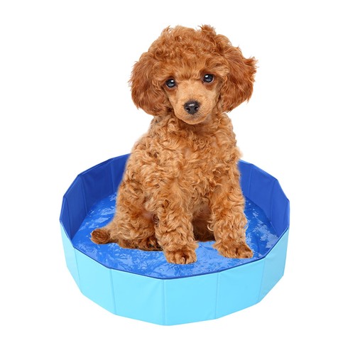 baignoire chien