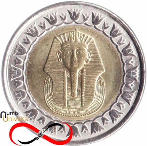 Livre egypte 2025 - 1, l'egypte