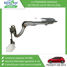 🏆 COMPAS GAUCHE CAPOT