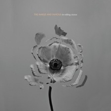 THE NAKED AND FAMOUS - IN