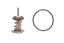 Thermostat 7.7951 FACET pour
