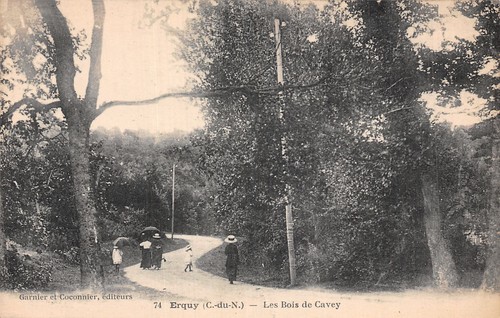 Erquy les bois cavey - bois, de