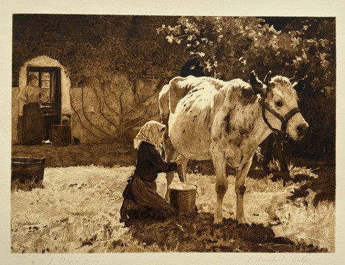 Vache blanche gravure eau - la,