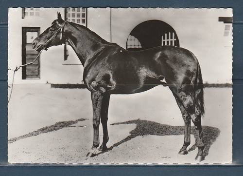 Cpsm vers 1960 - 1960,