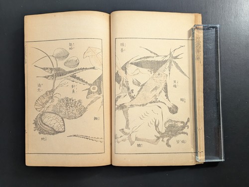 Livre imprimé japonais