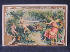 Cacao BENSDORP: Jolie Chromo