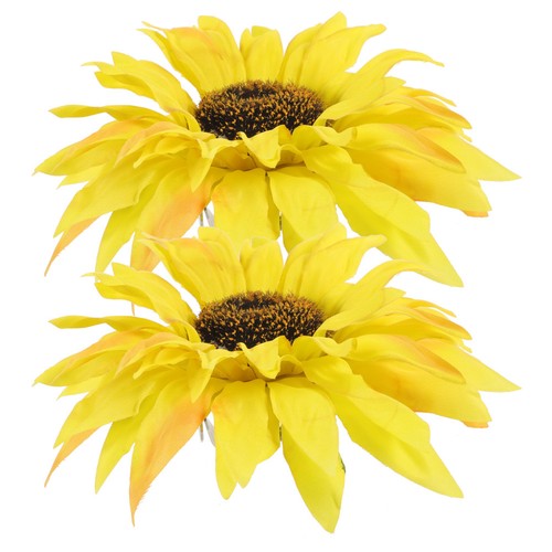 Pcs classeur rideau petites - pcs,