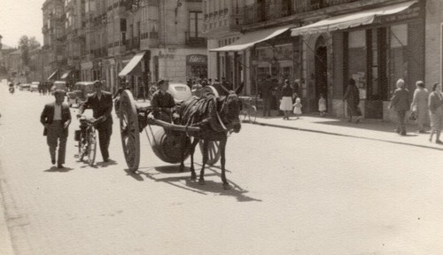 Spain vitoria street horse - vitoria,