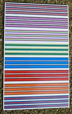 Fente Voiture Scx Course