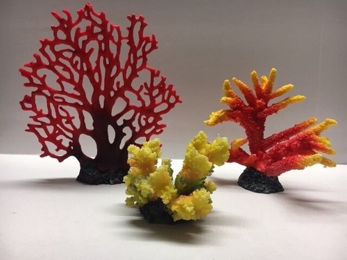 Corail aquarium reef - corail, d'aquarium