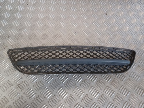 Grille pare choc avant
