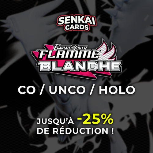 Pokémon flamme blanche fr - -,