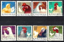 Animaux Basse-cour Roumanie