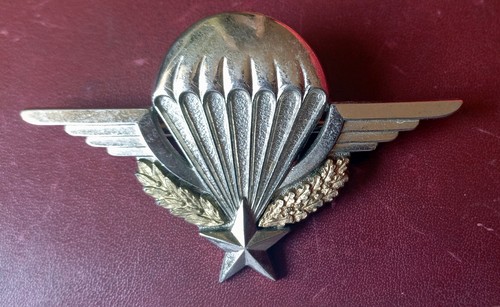 Insigne brevet parachutiste - insigne,