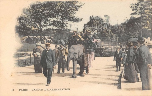 Cpa paris jardin - 75, au