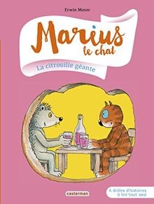 citrouille geante
