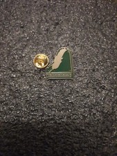 Pin's VAFC Jeux machine à