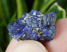 Cristaux Azurite Chessylite intense Chessy les Mines 2cm France collection rare