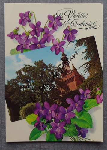 Toulouse les violettes - toulouse,
