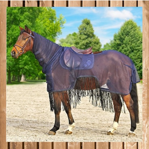 Fly riding blanket fringe - fly,
