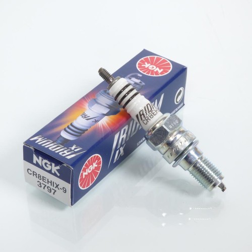 Bougie allumage ngk - bougie, pour