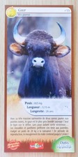 CARTE MERVEILLES DU MONDE -