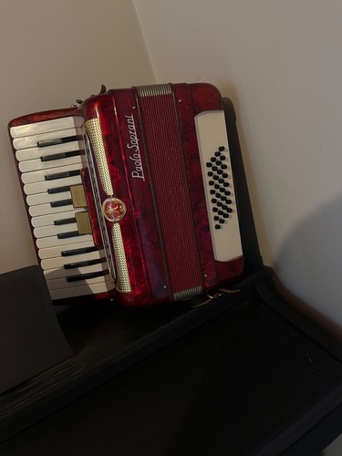 Accordéon vintage paolo - vintage,