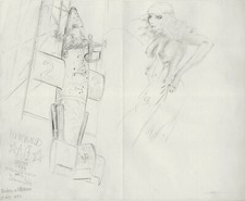 Denis SIRE PIN UP ET AVION