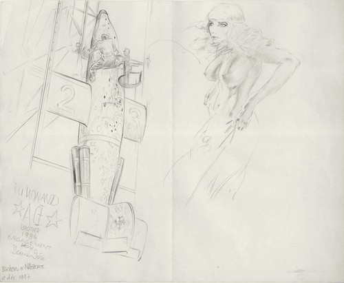 Denis sire pin - up, avion