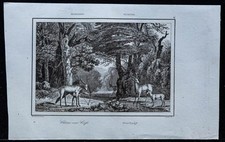 1837 - Chasse au cerf -