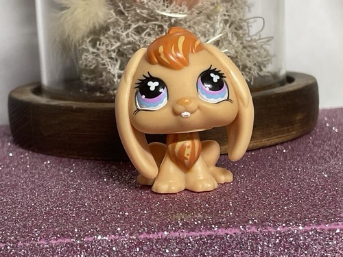 Petshop lapin belier - 🌸petshop,