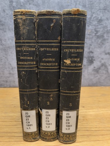 Traite anatomie descriptive - traite,