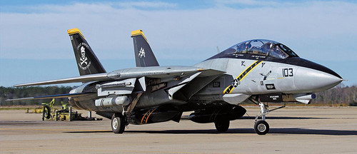 Hasegawa avion 14b tomcat - hasegawa,,
