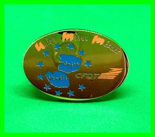 Pin lapel pins syndicat - pin's,