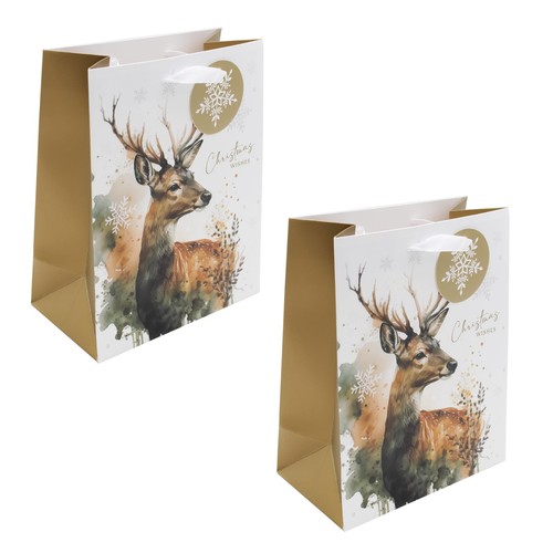 Paquet noël cadeau sacs - paquet,