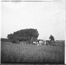 CHAMBLY c. 1900 - Attelage