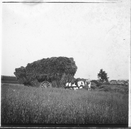 Chambly 1900 attelage - chambly,