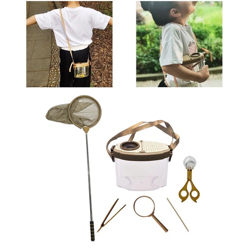 Insecte pour enfant - insecte,