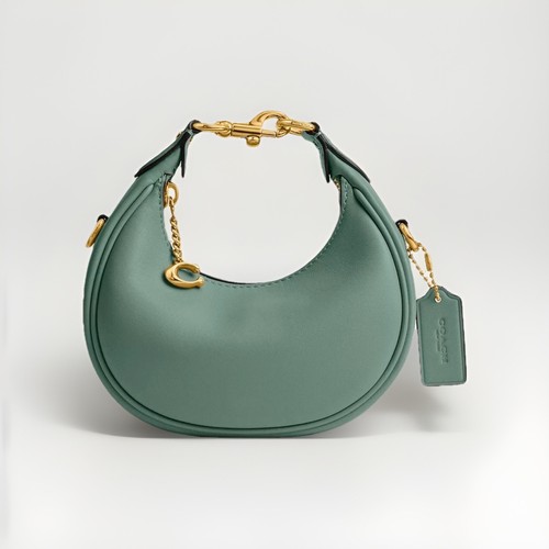 Beautiful bag coach - coach, model