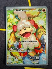 Carte Pokémon Secrète