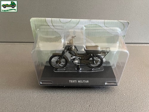 Testi militar leo - testi,