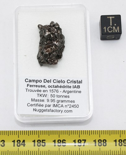 Météorite campo del cielo - météorite,