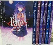 Fate/stay night Heaven's Feel
