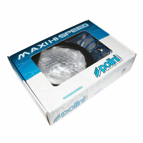 Variateur maxiscooter polini