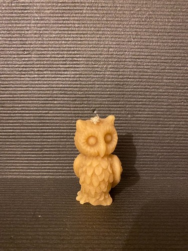 Cochon bougie cire - cire, d'abeille
