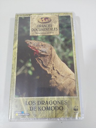 Les dragones komodo grands - komodo,
