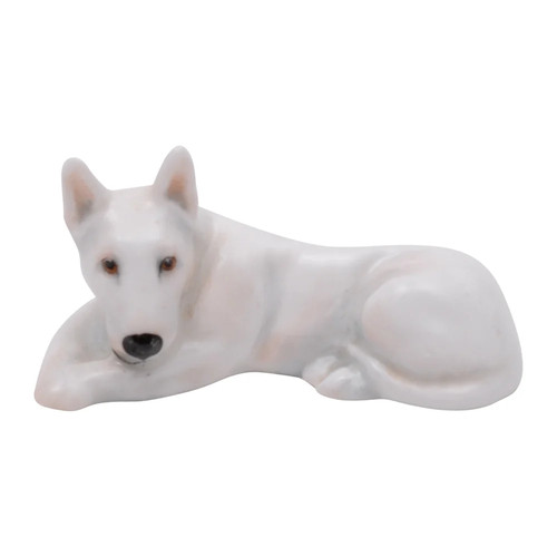 bull terrier femelle