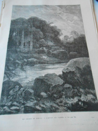 Gravure 1878 chasse en - 1878,